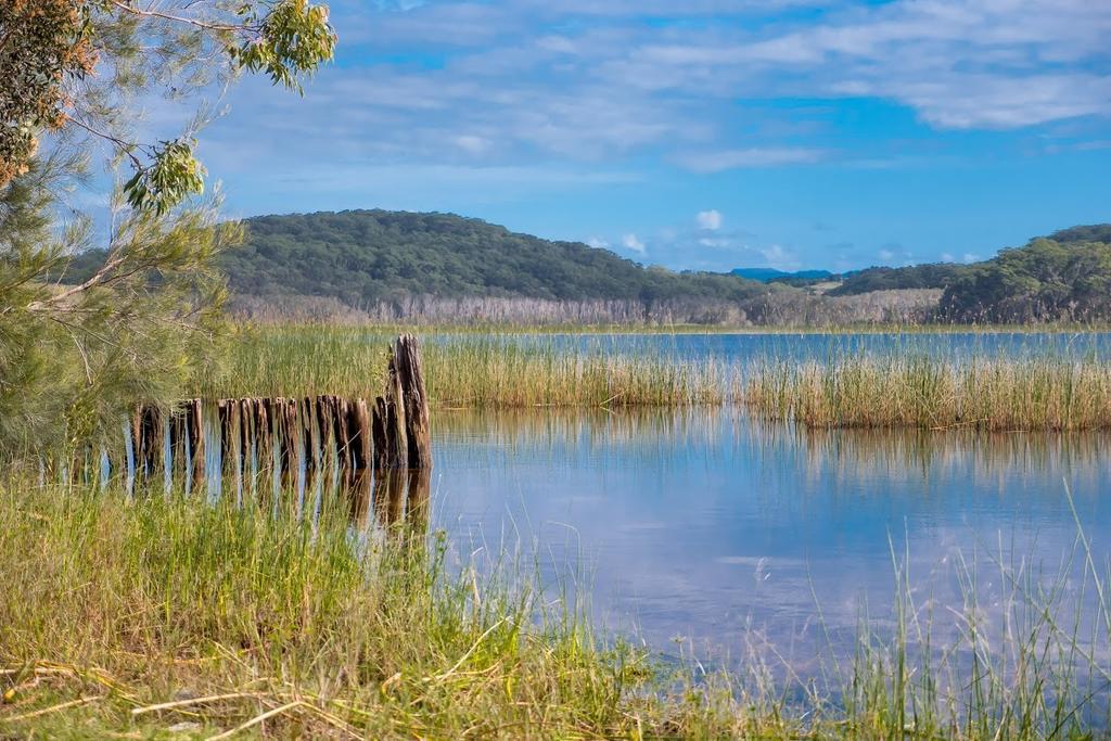 Cabarita Lake Apartmentsカバリタ・ビーチ エクステリア 写真